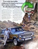Jeep 1984 030.jpg